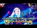 Download Lagu DJ SAI HORAS MAHO TU SI BORU LOMONI X BELUM SIAP KEHILANGAN 😭 ( dj tika )