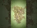 Feeling nic-sick