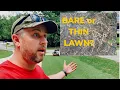 High nitrogen fertilizer Helping thin spots in the lawn