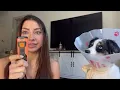 NPS Rechargeable Dog Barking Control Device Stops All Challenges Dog Training Silence Ultrasonic