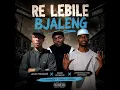 Re Lebile Bjaleng