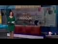 HALEY HARRISON KMBC9 WEEK OF 2 15 21