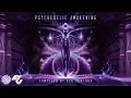 Download Lagu Ace Ventura - Psychedelic Awakening Full Album mix [Psy-Nation Radio]