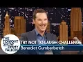 Download Try Not to Laugh Challenge with Benedict Cumberbatch mp4 3gp mp3 videos - waplic