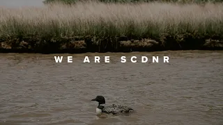 We Are SCDNR