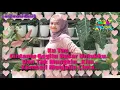 Download Lagu @anitawardani8 !!! Ku Ingin Kau Kembali by D'FIRST BAND ( Musik Hits Lirik Bucin Baper ) | MLBB