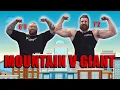 Download Lagu The Dutch Giant 7'2 vs The Mountain 6'9! Who grows bigger arms?