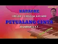 Download Lagu PETUALANG CINTA(HAMDAN ATT) KARAOKE ORGENTUNGGAL KN 1400||NADA COWOK