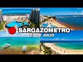 Playas sin Sargazo Actualmente SARGAZOMETRO 27 de Julio