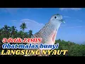 Download Lagu 100% PerKutut Lokal di Alam: Suara Istimewa dan Banyak di cari KOLEKTOR