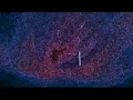 Crooked Colours - Flow |english-spanish lyrics|
