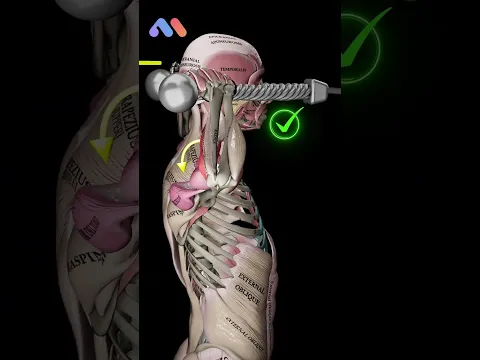 Face Pulls with External Rotation - Don’t Let Your Biceps Take Over!