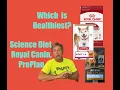 Science Diet ProPlan Royal Canin Which is healthiest for an adult dog