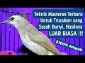 Download Lagu PANCINGAN Trucukan Gacor Ngalas Tarung Ropel Paling Bagus Untuk Pancingan Trucukan Agar Bunyi Nyaut