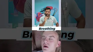 Heart Attack V S Cardiac Arrest News Viralshort Facts Viralvideo Medico India Youtubeshorts 