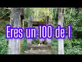 100/10 Julión Álvarez 2025 karaoke 