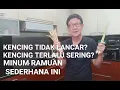 Lagu RAMUAN ALAMI SUPER SEDERHANA SUPAYA KENCING LANCAR, ANTI PROSTAT.