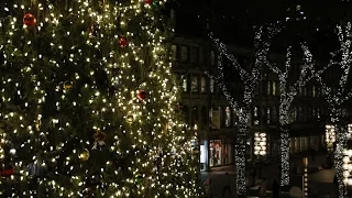 Season s Greetings from Suffolk University