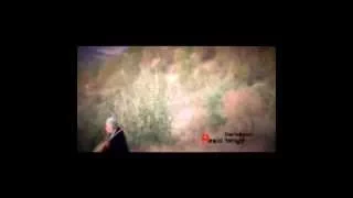 Brader Musiki Miro Qt 