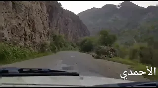 ياعازمين السفر من بعد طول الغياب  اليمن في قلوبنا دندنها
