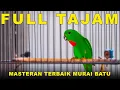 Download Lagu Burung serindit Full Tajam Nembak Gacor Bikin Emosi Semua Burung #serindit #masteranburung #birds