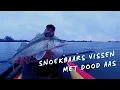 Lagu Dropshotten met dood aas op Snoekbaars | Vissen zonder dieptemeter vanuit de kajak | VLOG #7