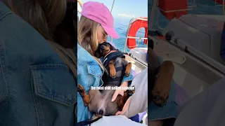 Living her best boat life😌 #dog #sailing #sailinglife #sailors