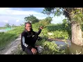 Lagu Banjir,,,ikan lele di mana mana