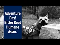 Bitter Root Humane Association s Adventure Day