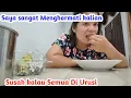 Download Lagu saya Makan Babi Saya Makan Ular Saya Makan Anjing ..Saya Rasa Gak Adaa Masalah