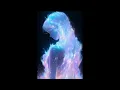 Nightcore - Je Veux ( Besomorph, Nito-Onna )