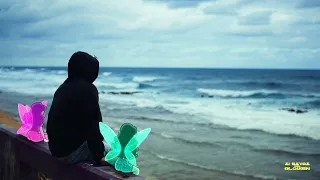 omar courtz ousi si est s con alguien visualizer 