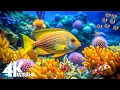 Lagu Incredible Aquarium 4K ULTRA HD | Dive Deep \u0026 Explore the Ocean's Hidden World - Dream Life