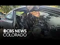 Bear dies after becoming trapped inside car in Colorado Springs