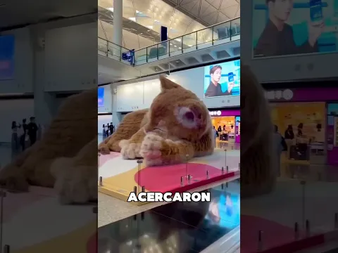 El Gato Gigante Protege El Centro Comercial 🤯