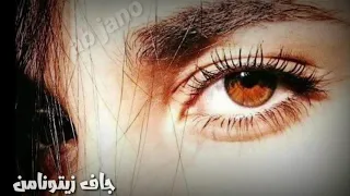 سيدا برينجك جاف زيتونامن 