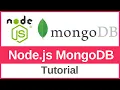 MongoDB with Node js Tutorial for Beginners