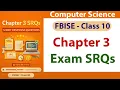 Chapter 3 SRQs FBISE Computer Science Class 9th SSC - II Programming Fundamentals