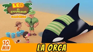 la orca espa ol leo el explorador episodio completo animaci n familia ni os