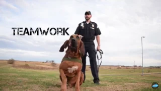 2017 Statewide KYDOC Recruitment