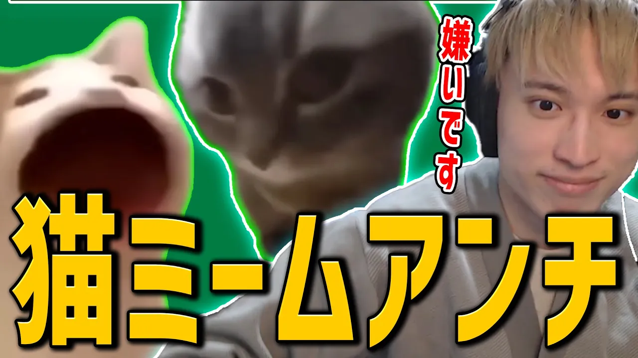 ぼくは猫ミームが嫌いだ