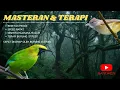 Download Lagu MASTERAN Cucak Jenggot VS Cucak Ranting TERAPI SUASANA MALAM AGAR CEPAT DISERAP MURAI, KACER, IJO