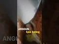 Download Lagu ANGGUN AYUN AMBING