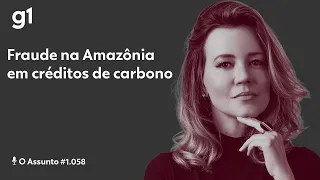 Fraude na Amazônia em créditos de carbono I O ASSUNTO