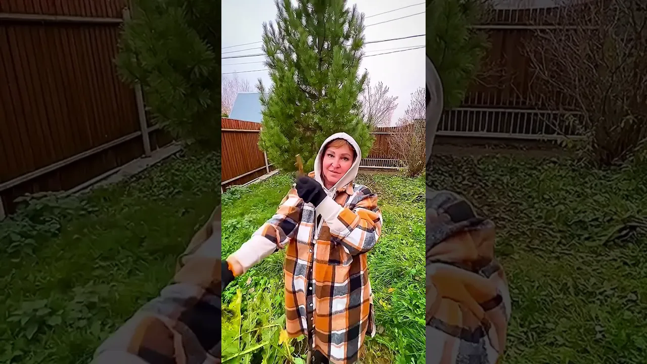Как у вас с хреном?