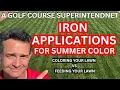 Found the Best Iron to Apply to Your Lawn For Summer Color