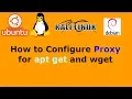 How to Configure Proxy for apt get and wget in Ubuntu