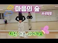 마음의 숲 - 조선힙합 / 힐링 위로곡🎵 / 워밍업 / 쿨다운 / 쉬운댄스 / 다이어트댄스 / 미니미니댄스