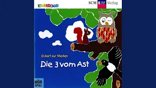                                دندنها