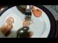 How to peel or de-shell shrimp in 3 seconds